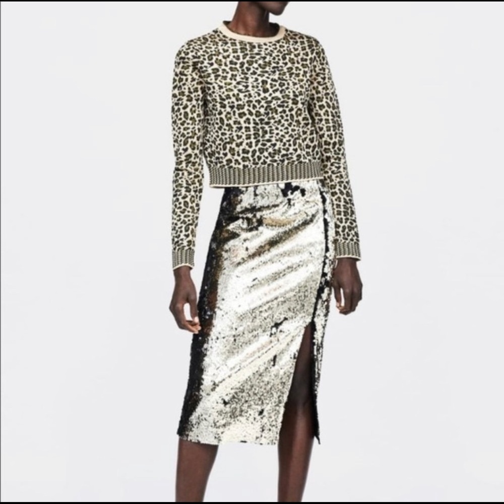 Zara cropped metallic sweater